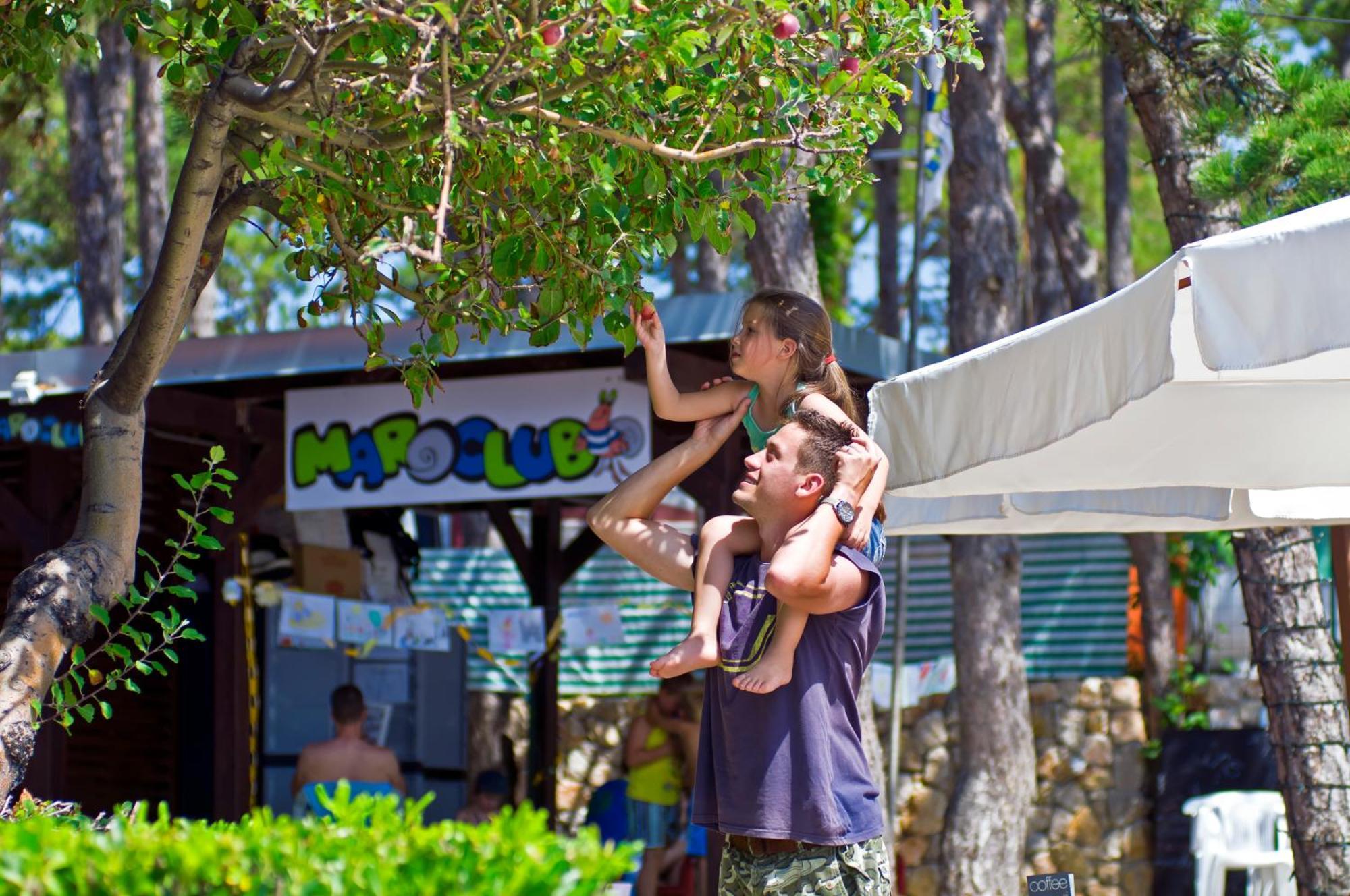 Valamar Camping Jezevac Krk Town Εξωτερικό φωτογραφία