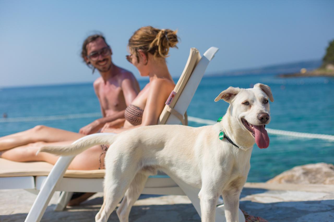 Valamar Camping Jezevac Krk Town Εξωτερικό φωτογραφία